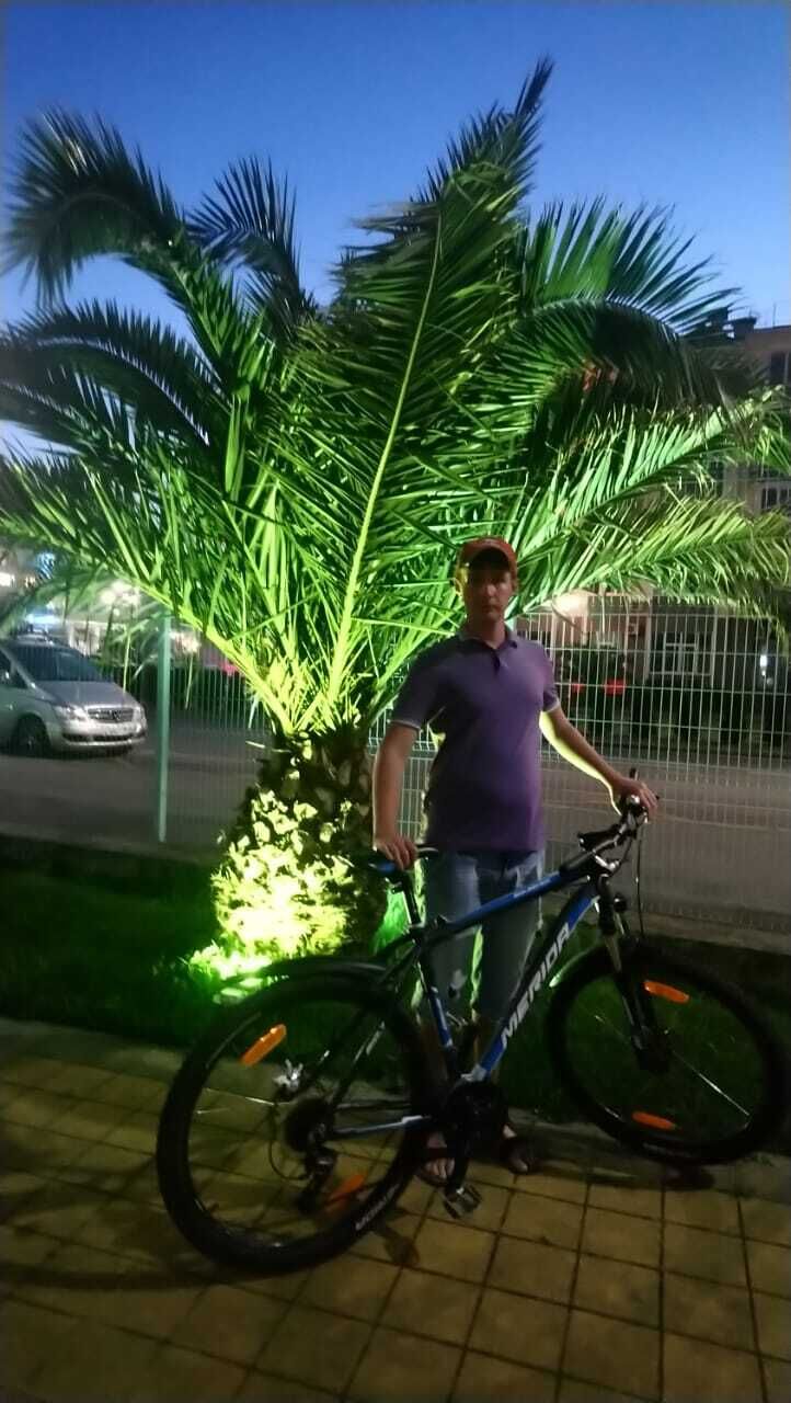 ���� 24260940 ������� ���������, 31 ���, ���� ���������� � ������