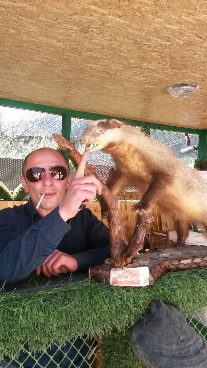 ���� 7830020 ������� ����, 40 ���, ���� ���������� � ��������