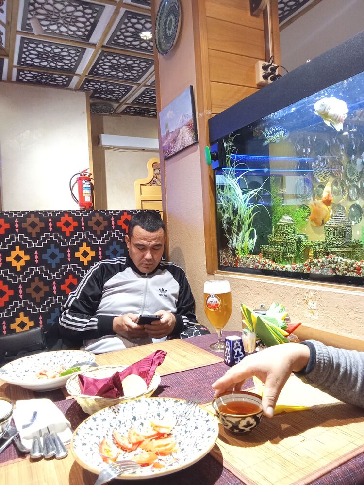 ���� 40081870 ������� ZATOY, 36 ���, ���� ���������� � ��������