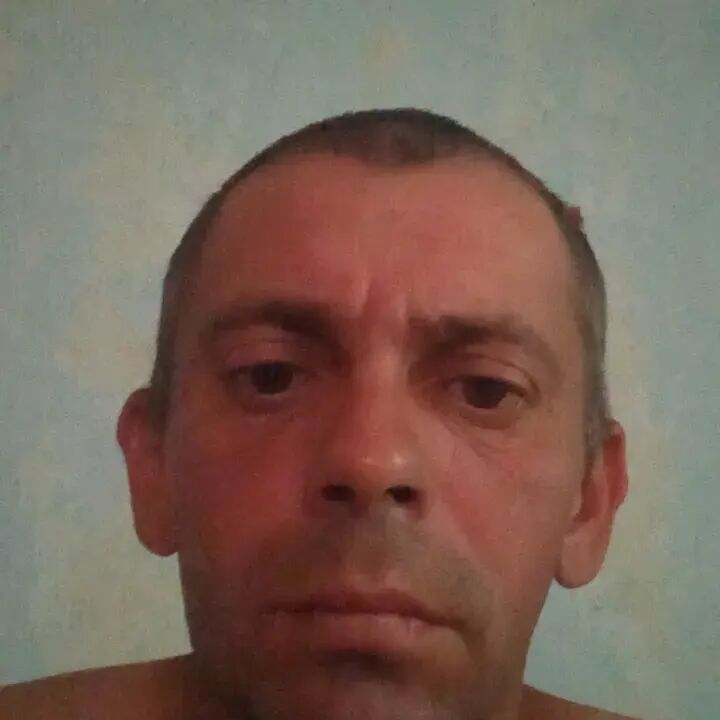 ���� 55993550 ������� ������, 43 ����, ���� ���������� � ����� �����