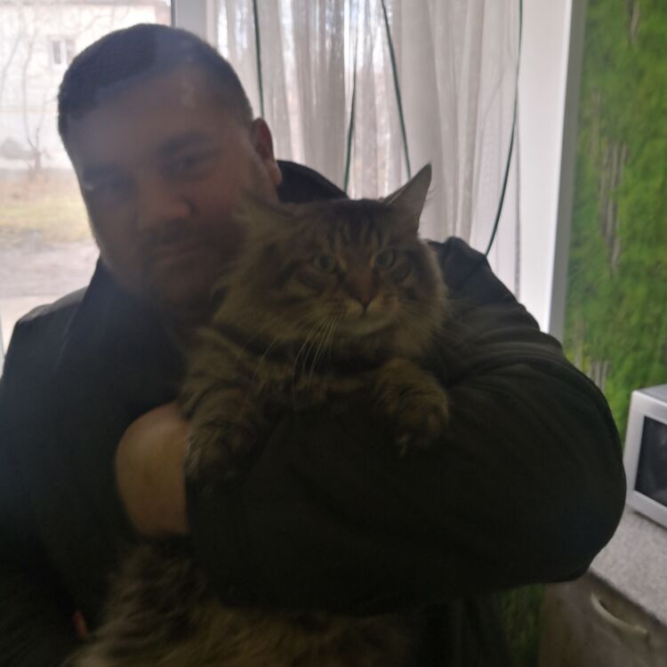  ,   , 39 ,   ,   