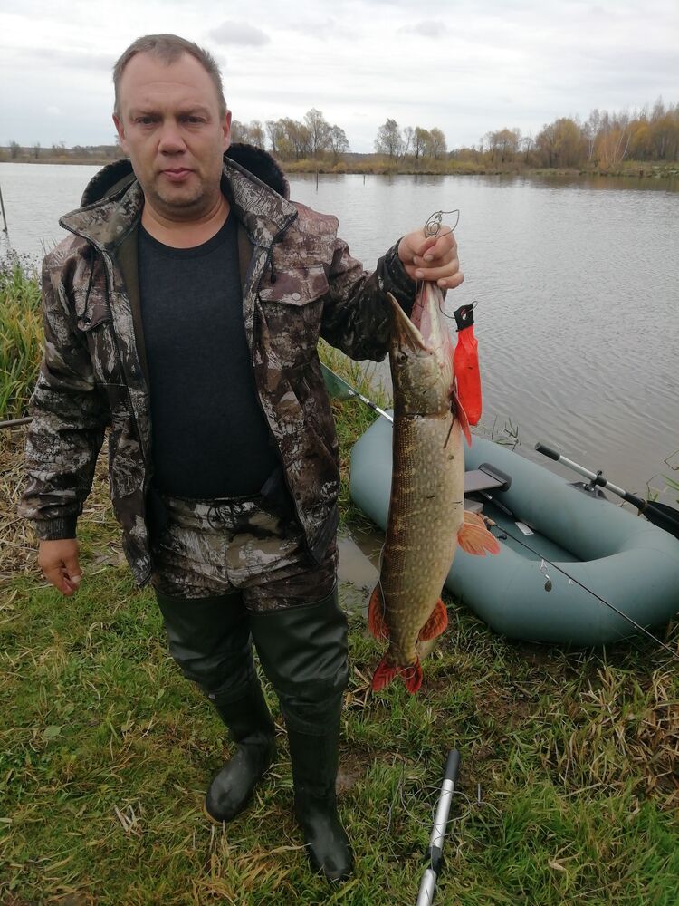 ���������� ������, ���� ������� �������, 51 ���, ������������ ��� ������, ����� � ���������, c�������� ���������