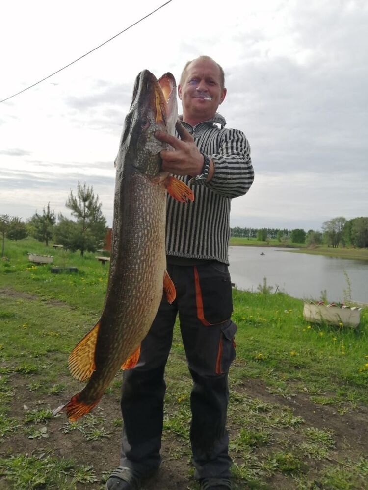 ���� 54993720 ������� �������, 40 ���, ���� ���������� � ������