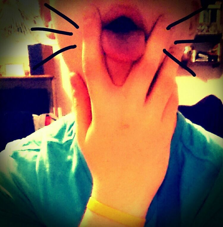  8322780  , 28 ,    -