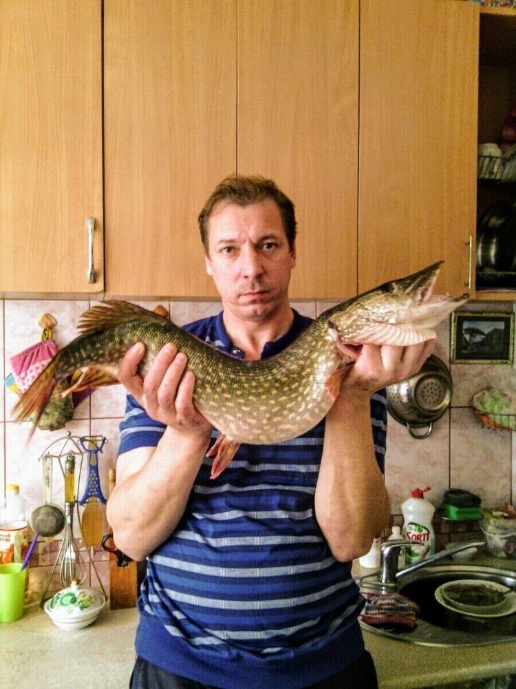 ���������� ������, ���� ������� ����, 52 ����, ������������ ��� c�������� ���������