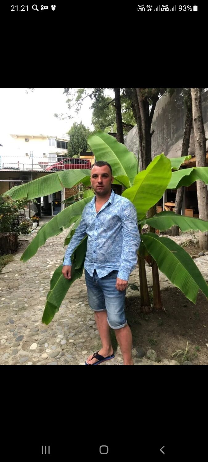 ���� 29045330 ������� ���������, 44 ����, ���� ���������� � ������