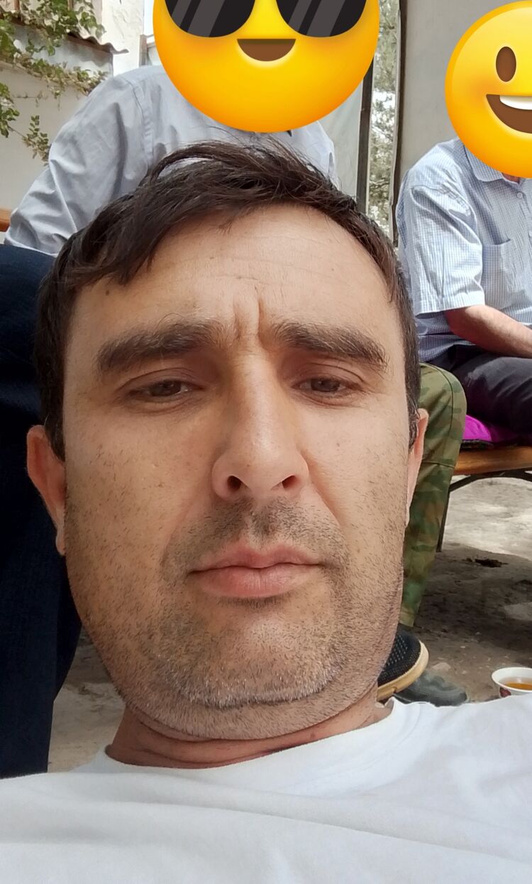  53293050  , 44 ,    