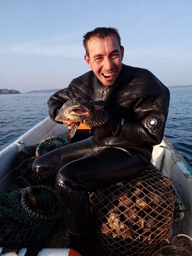 ���������� ���������, ���� ������� ����, 37 ���, ������������ ��� ������, ����� � ���������, ���������