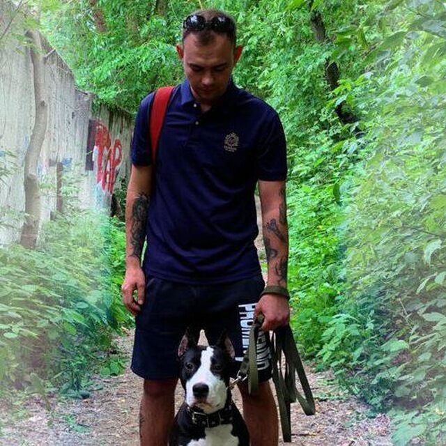 ���� 41407950 ������� �������, 28 ���, ���� ���������� � ������