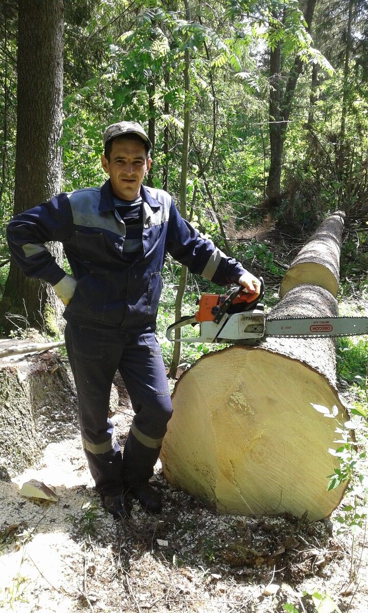 ���� 16560240 ������� ���, 47 ���, ���� ���������� � �������