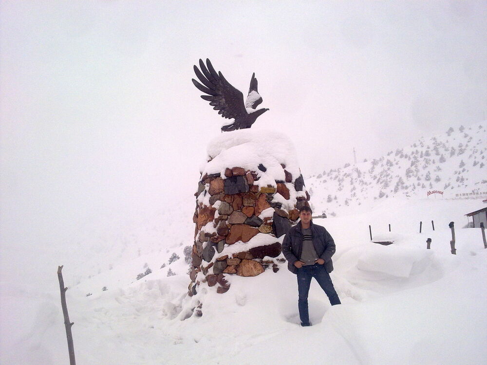 ���� 4032310 ������� ���������, 43 ����, ���� ���������� � ��������