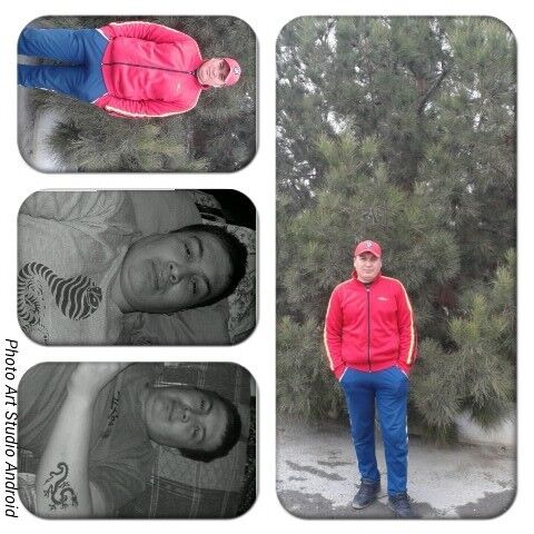  ,   The end, 43 ,   