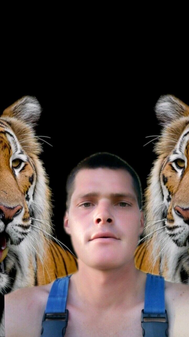 ���� 28087180 ������� ��������, 31 ���, ���� ���������� � ������