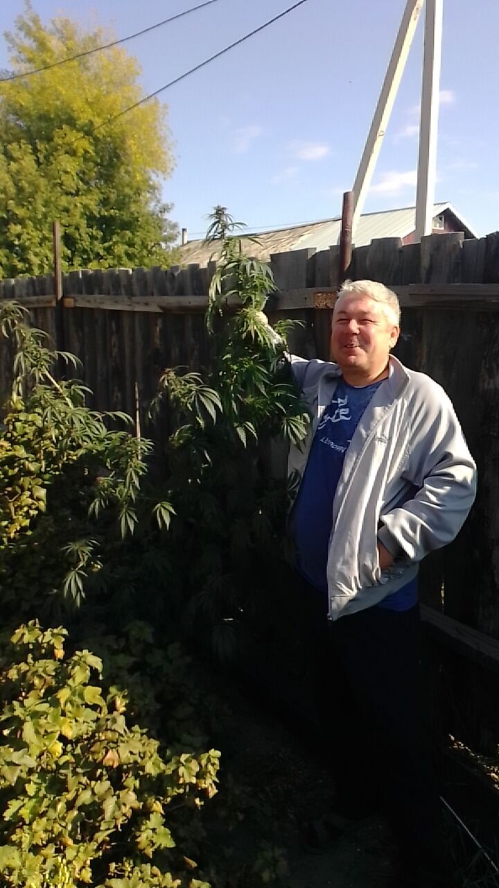 ���� 24419320 ������� �������, 41 ���, ���� ���������� � ������