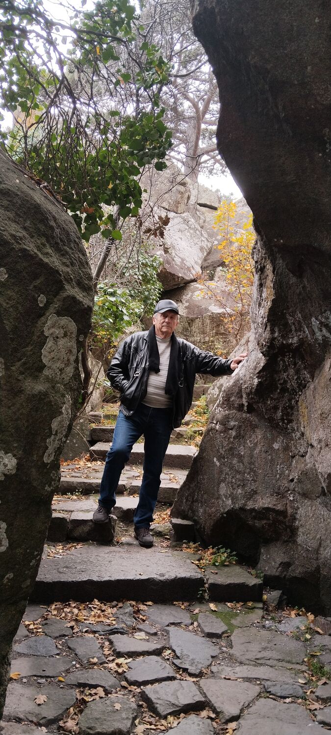 ���������� ����, ���� ������� ��������, 78 ���, ������������ ��� ����� � ���������, ���������