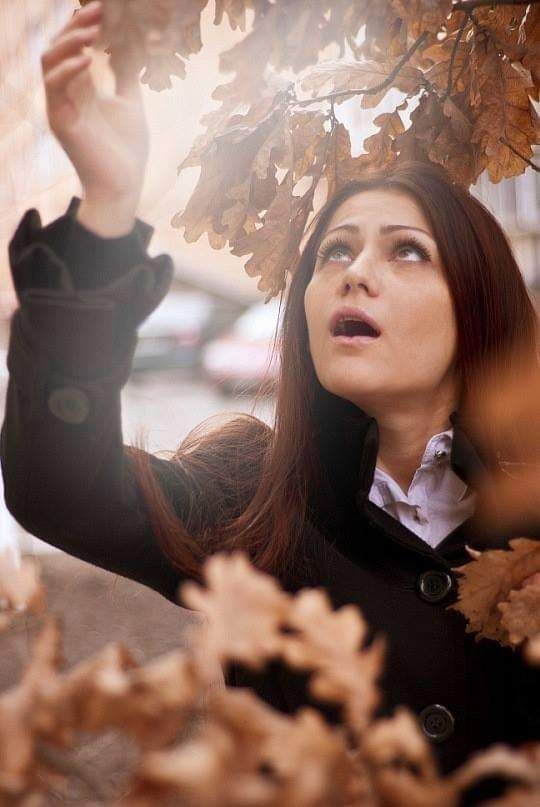 ���� 22968740 ������� ����, 33 ����, ���� ���������� � �����