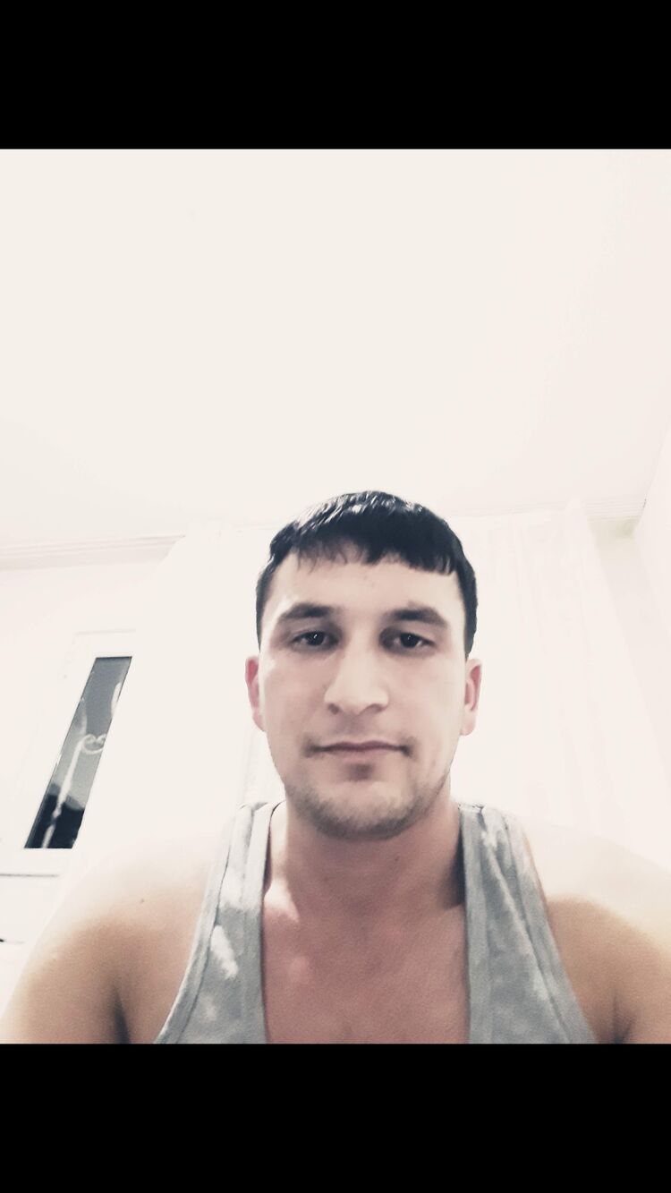  31238300  , 38 ,    