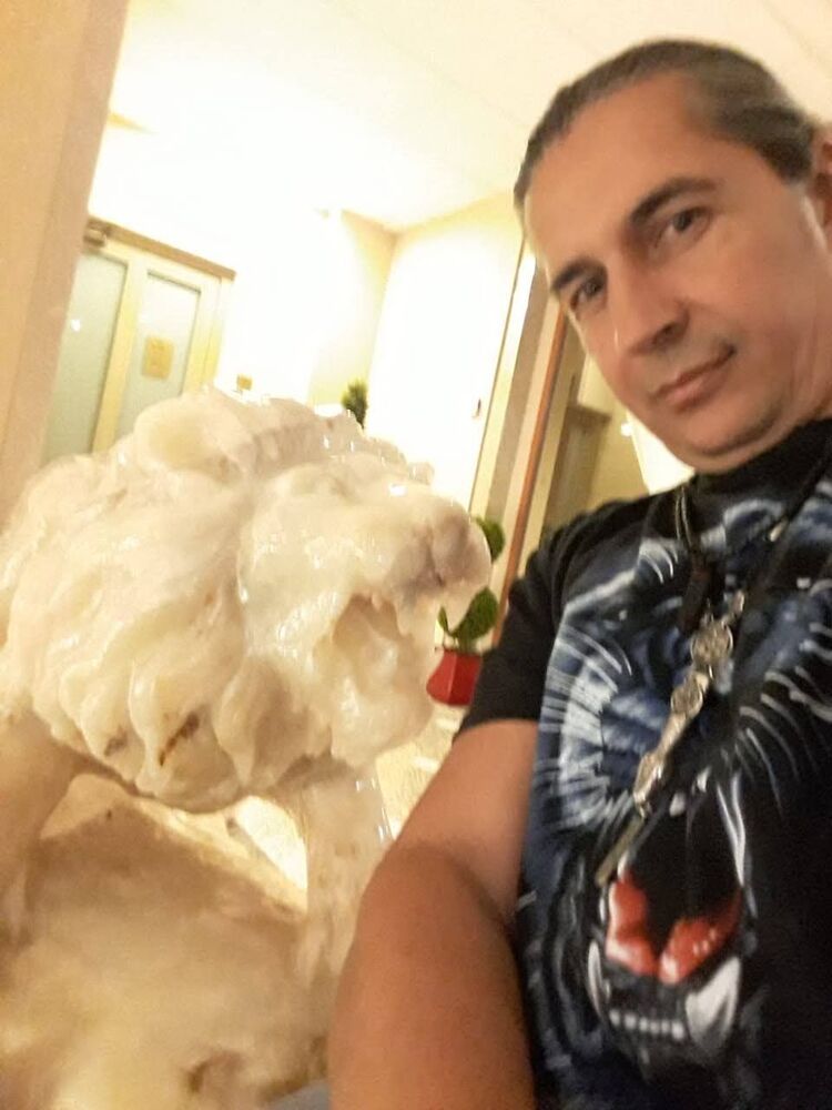  ,   , 55 ,   ,   
