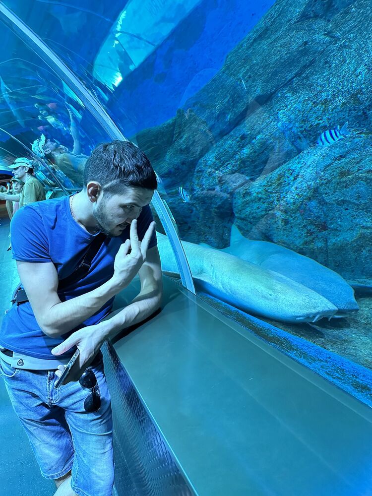 ���������� �����-���������, ���� ������� �������, 36 ���, ������������ ��� ������, ����� � ���������, c�������� ���������