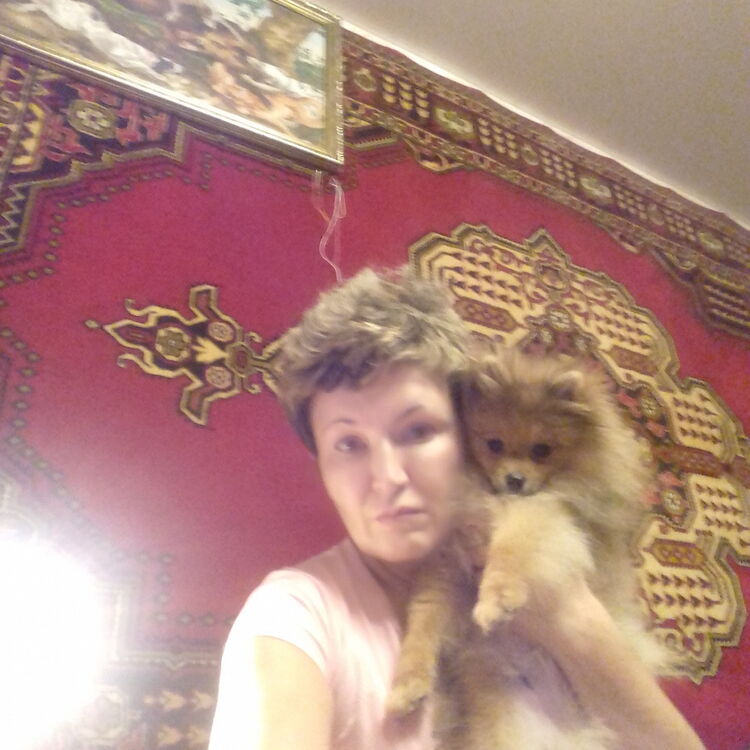 ���� 8246420 ������� ������, 53 ����, ���� ���������� � ��������