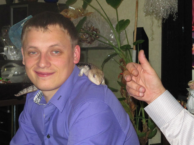 ���������� ����������, ���� ������� ��������, 40 ���, ������������ ��� ������, ����� � ���������