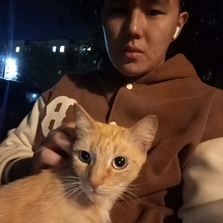 ���������� ������, ���� ����� �����, 18 ���, ������������ ��� ������, ����� � ���������