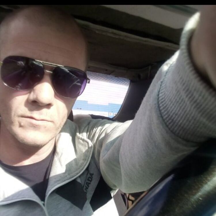 ���� 55673260 ������� �������, 99 ���, ���� ���������� � �����������