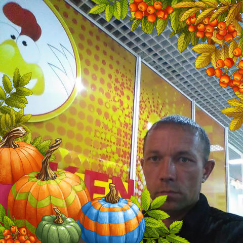 --,   , 46 ,   , 