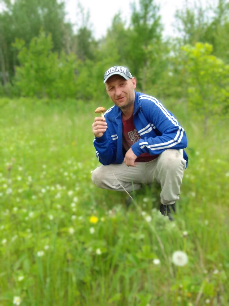 ���� 29612910 ������� ���������, 43 ����, ���� ���������� � ����������