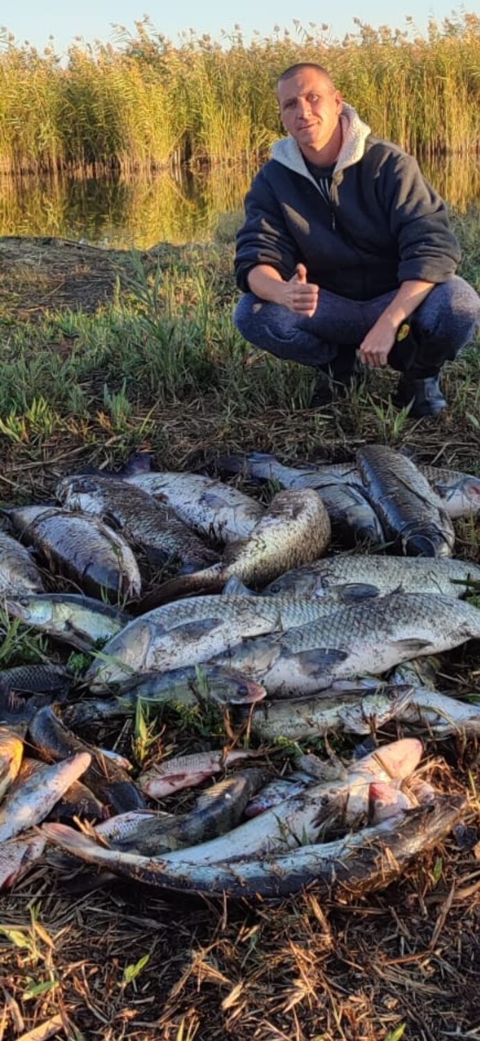 ���������� ������, ���� ������� �����, 46 ���, ������������ ��� ������, ����� � ���������, c�������� ���������