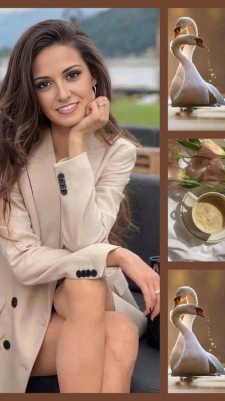 ���� 55023180 ������� �������, 41 ���, ���� ���������� � ����������