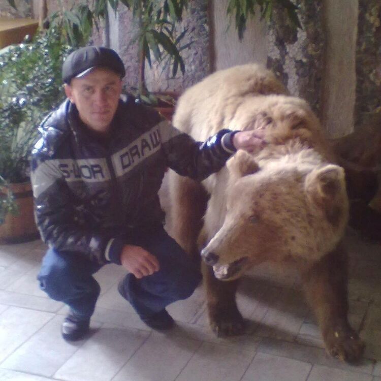 ���������� ����������, ���� ������� ������, 50 ���, ������������ ��� ������, ����� � ���������, c�������� ���������