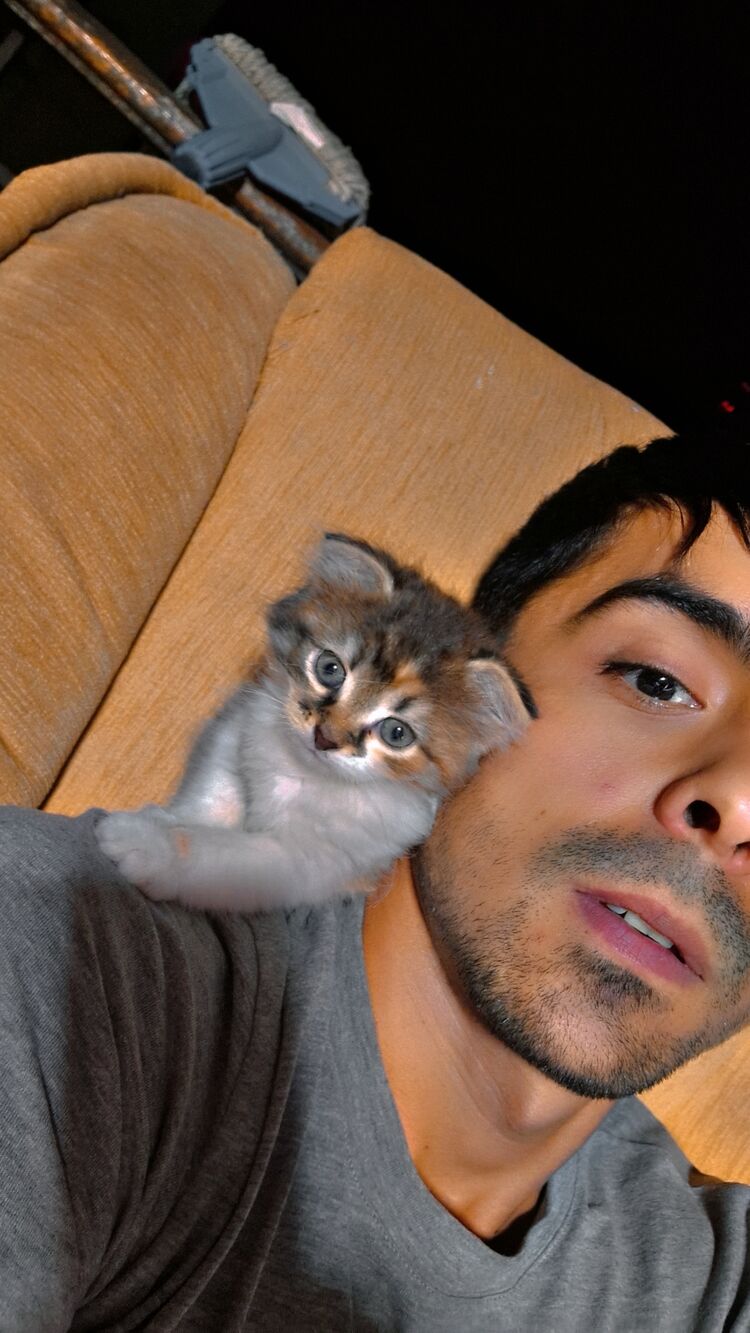  ,   , 29 ,   ,   