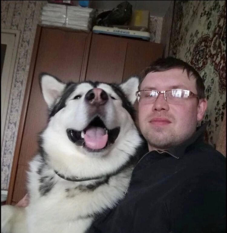 ���������� ���������, ���� ������� Ref, 39 ���, ������������ ��� ������, ����� � ���������, c�������� ���������, ���������