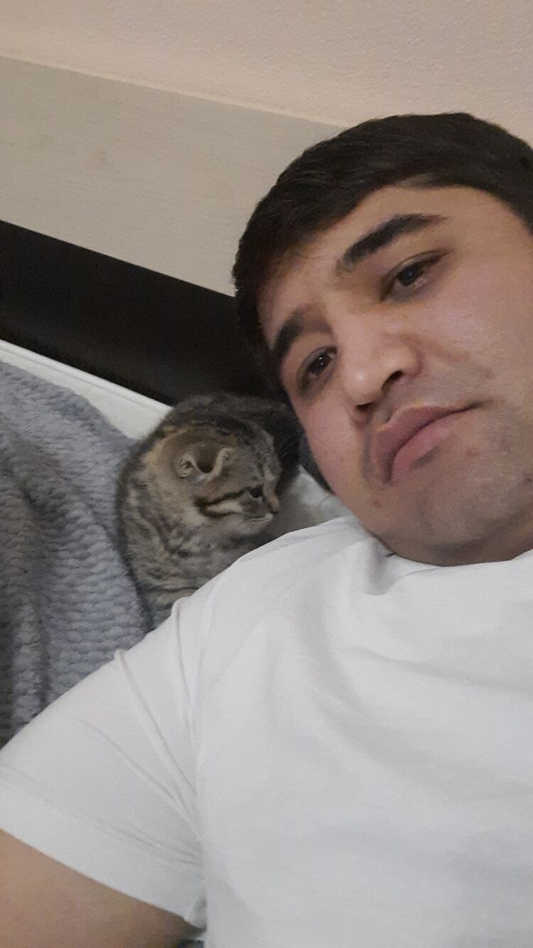  ,   Mahmud, 37 ,   ,   , c 