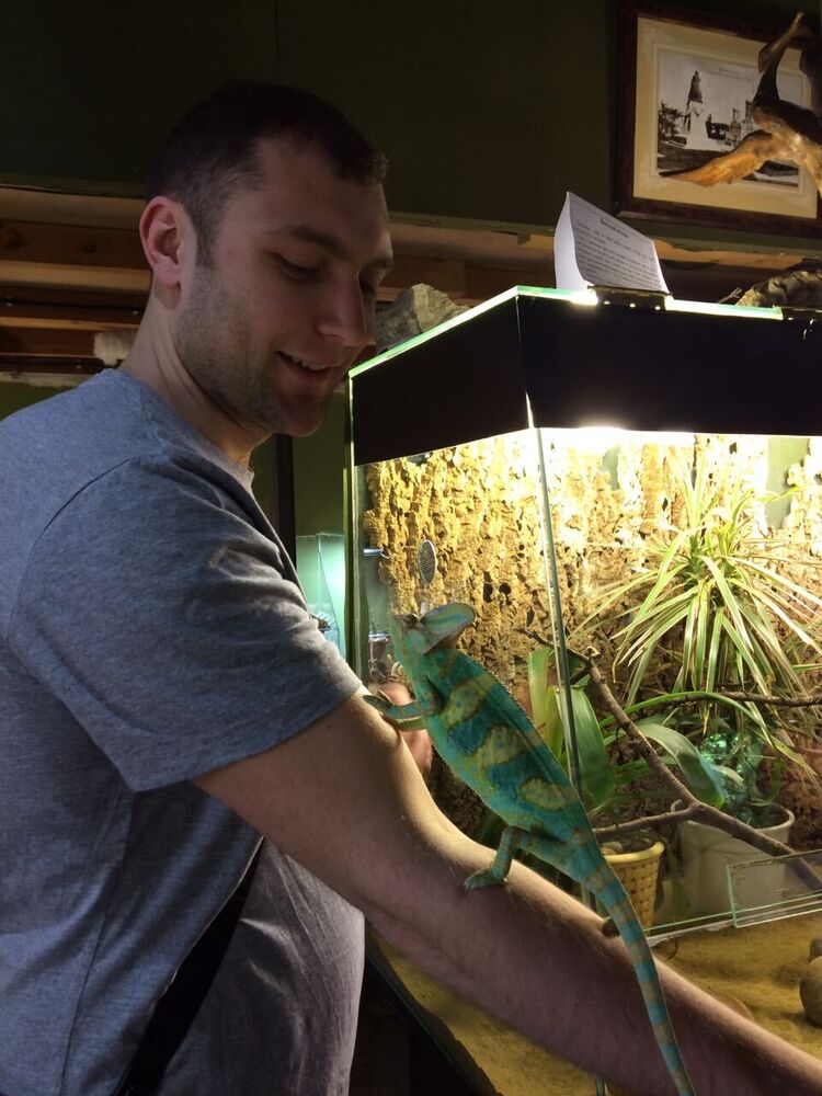  27496380  , 39 ,    -