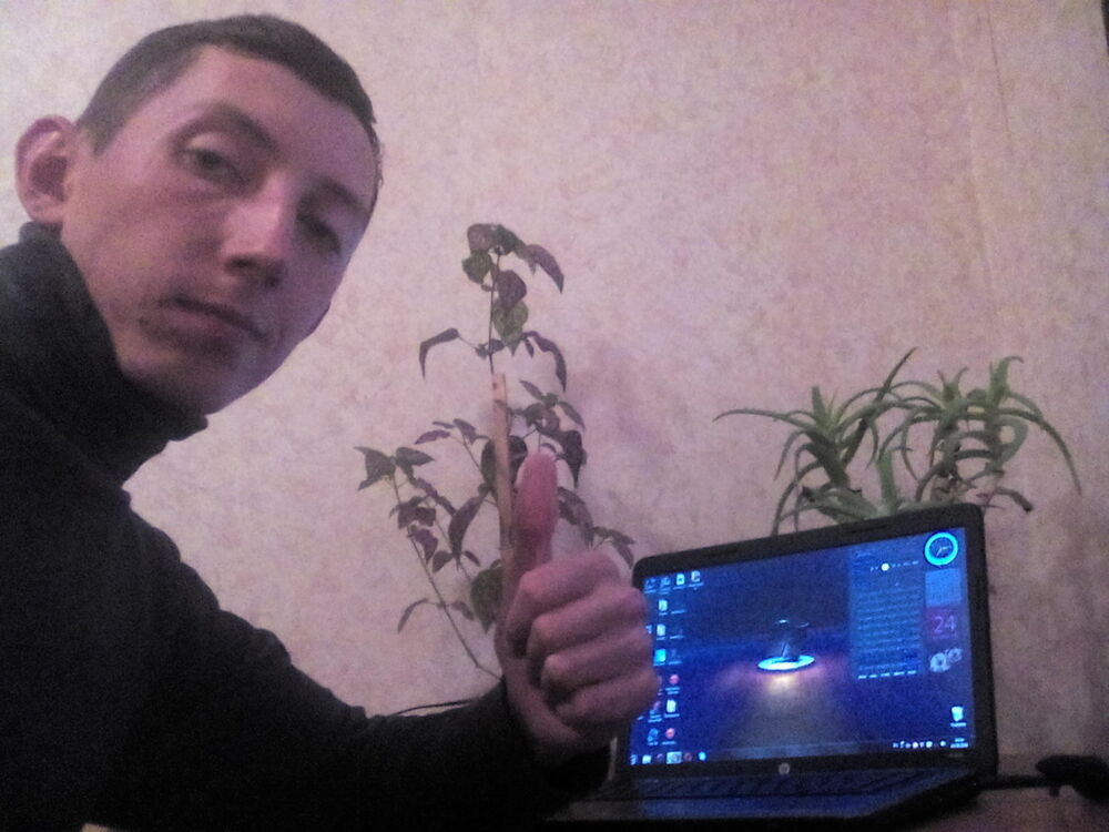 ���� 8207300 ������� �������, 33 ����, ���� ���������� � �������