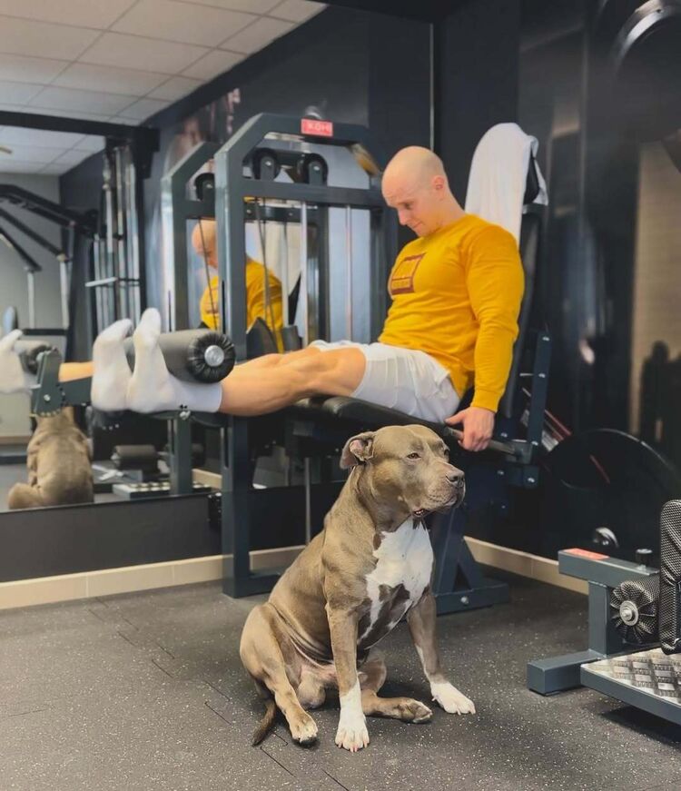 ���������� ���������, ���� ������� ������, 38 ���, ������������ ��� ������, ����� � ���������, c�������� ���������