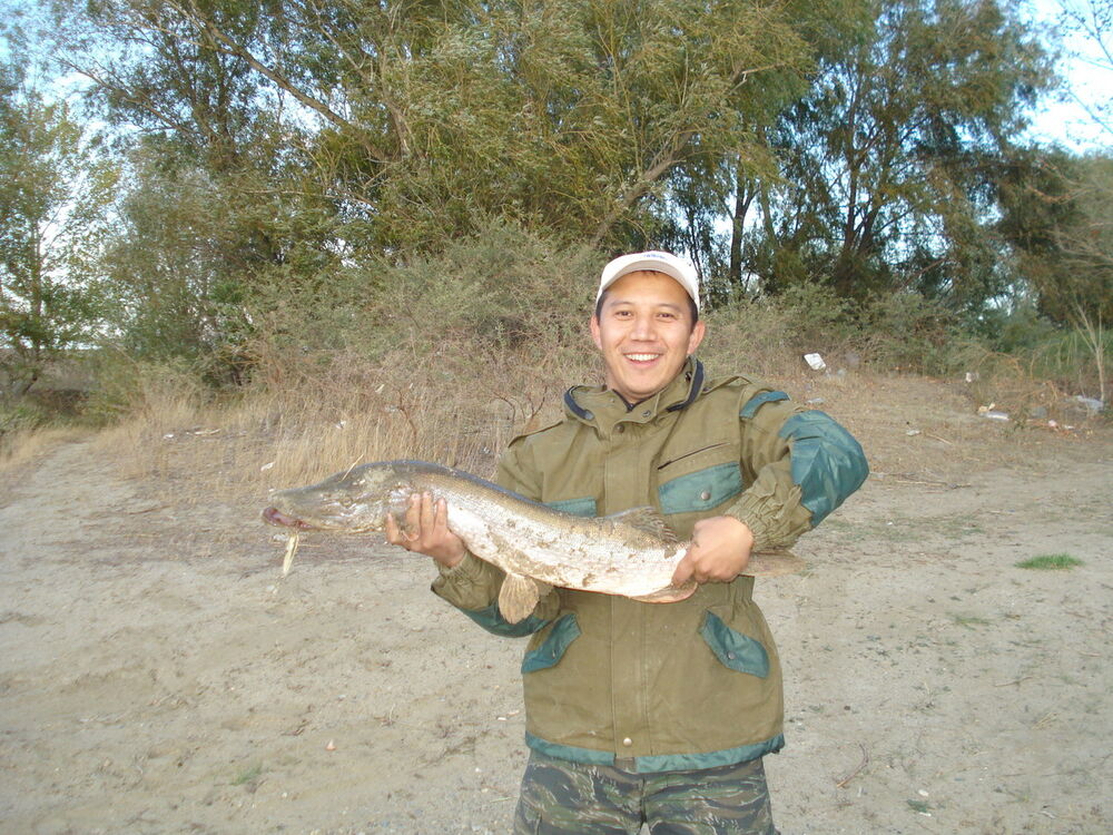  ,   Timur, 42 ,   