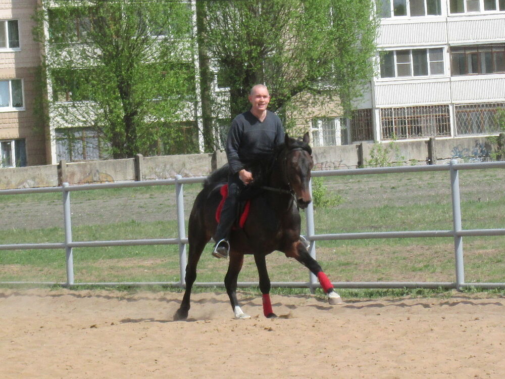  ,   , 56 ,   