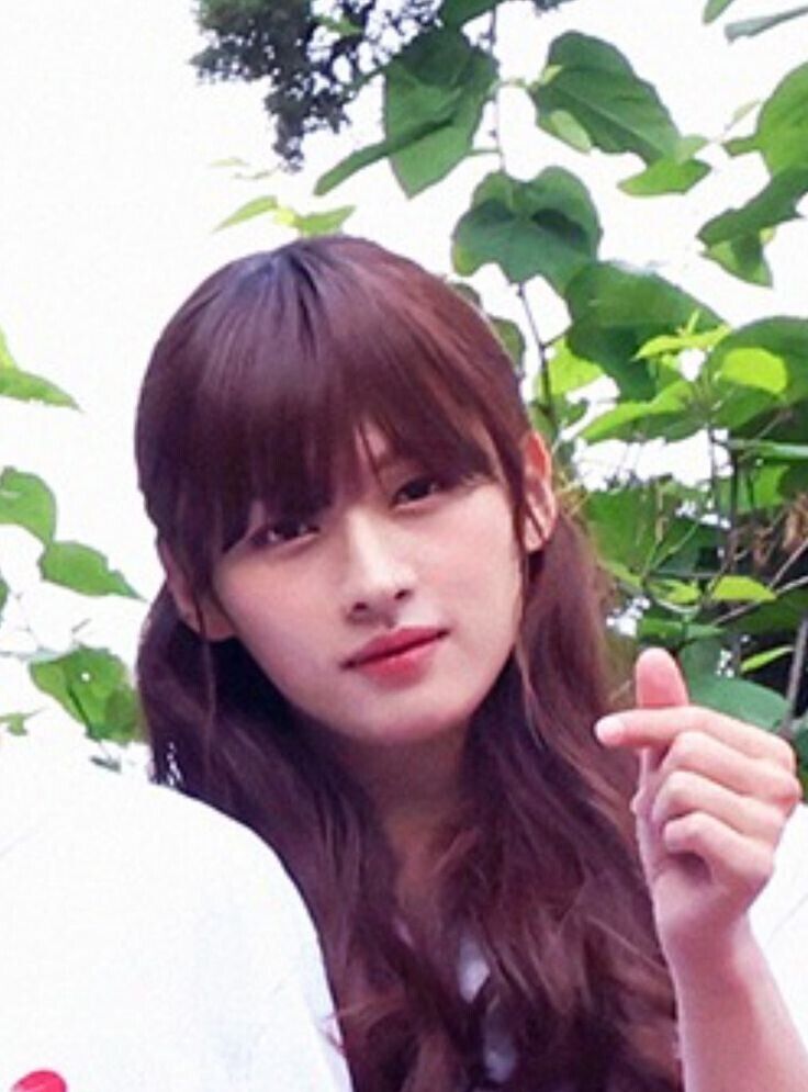 ���� 35061830 ������� �������, 25 ���, ���� ���������� � ������