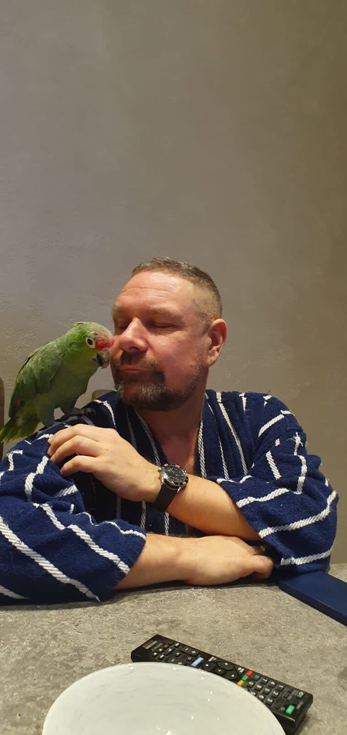 ���������� �����-���������, ���� ������� �������, 47 ���, ������������ ��� ������, ����� � ���������, c�������� ���������