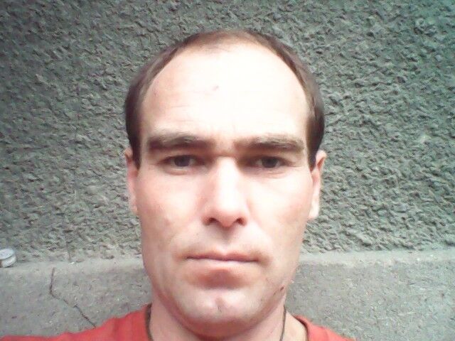 ���� 8407340 ������� ����, 44 ����, ���� ���������� � ��������