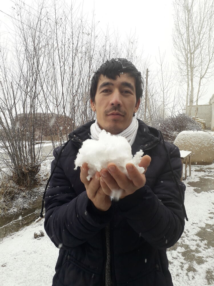 ���� 56068210 ������� ������, 29 ���, ���� ���������� � ������