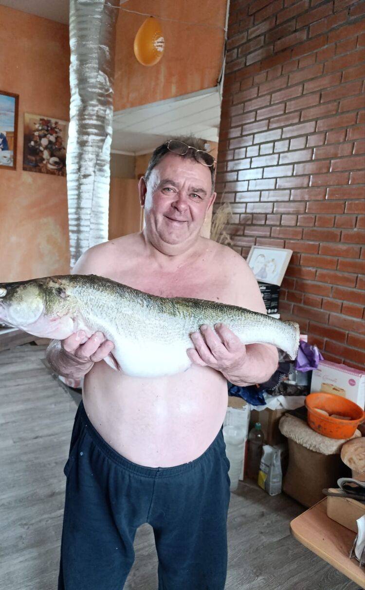  ,   , 56 ,   ,   