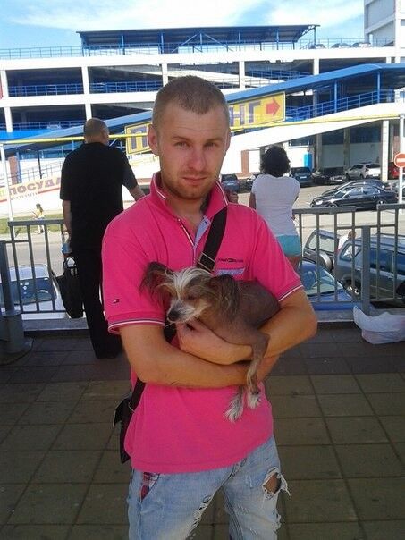 ���� 8463670 ������� ���������, 38 ���, ���� ���������� � ������