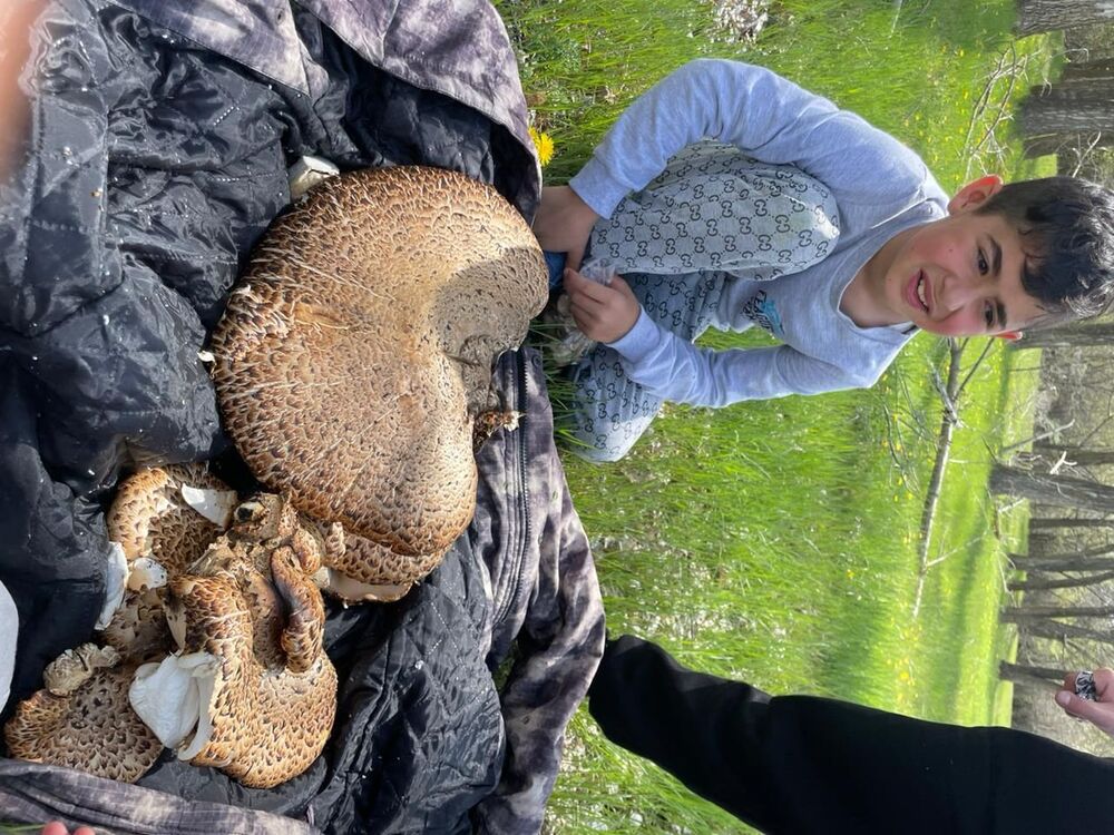 ���� 44391690 ����� �����, 25 ���, ���� ���������� � �������