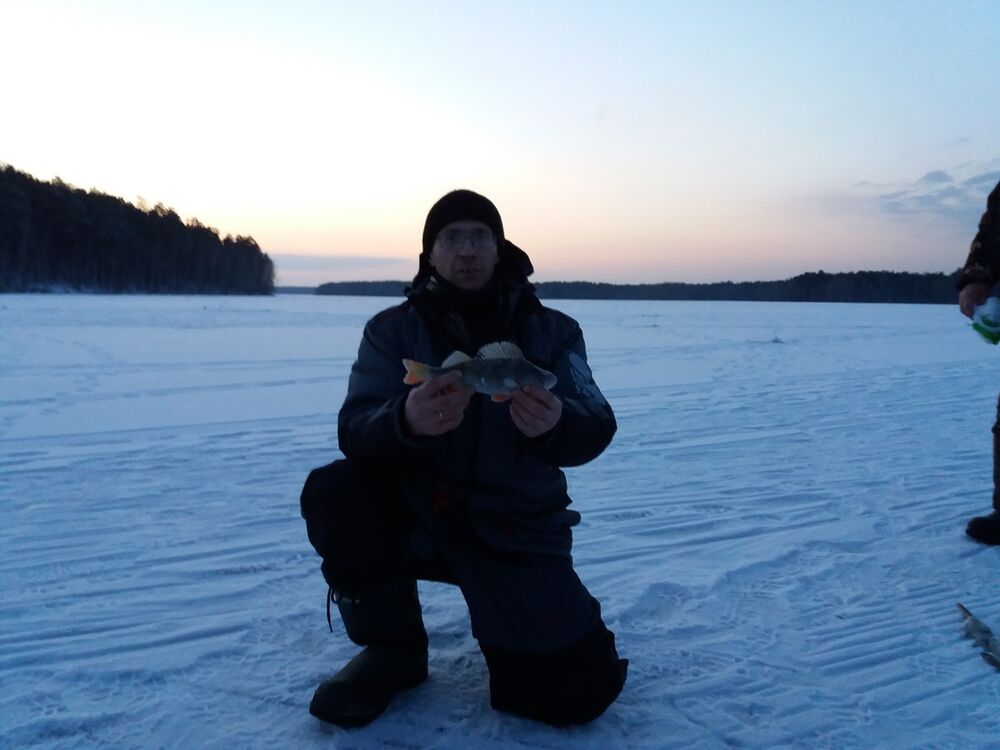 ���������� ������� �����, ���� ������� �������, 50 ���, ������������ ��� ������, ����� � ���������, c�������� ���������