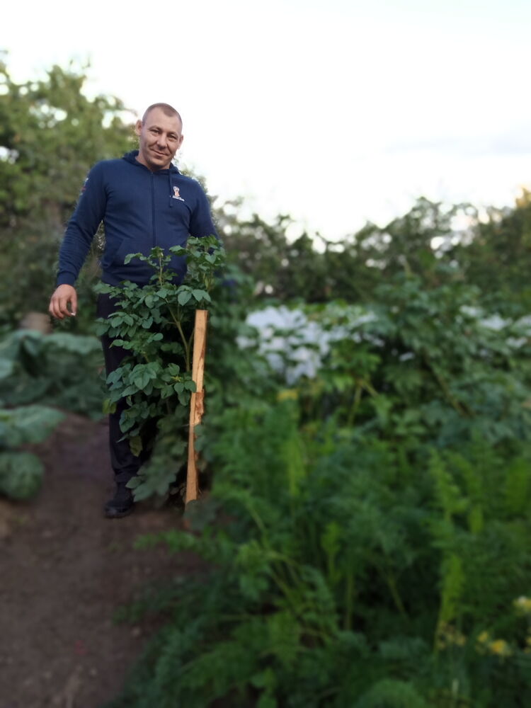 ���� 22978480 ������� ���������, 40 ���, ���� ���������� � ������ ���������