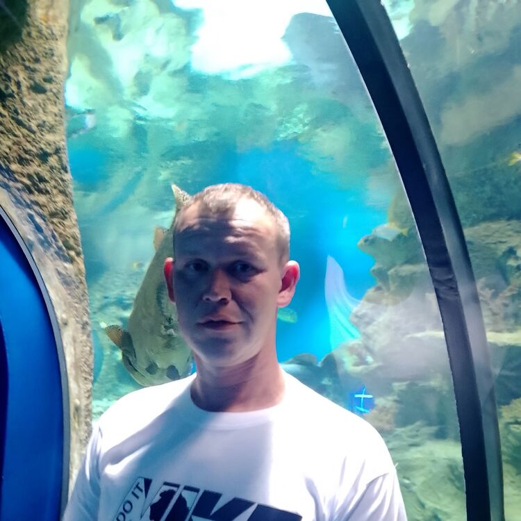 ���� 56079040 ������� ������, 37 ���, ���� ���������� � ������